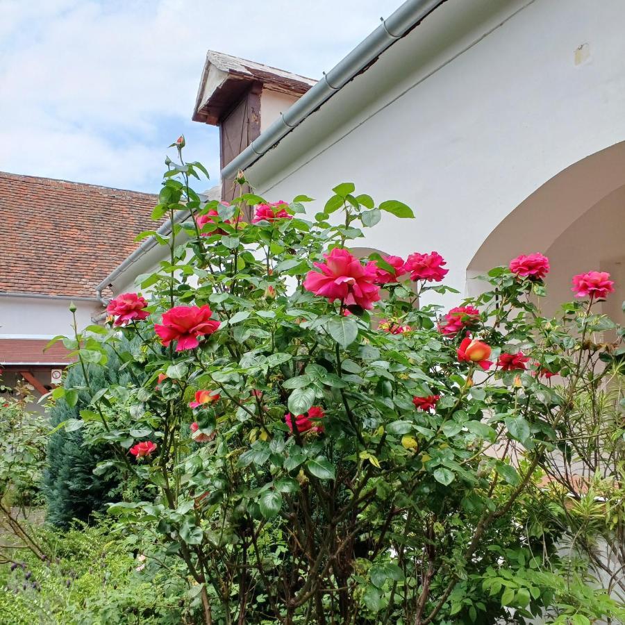 Blues Ryokan Kőszeg Exterior foto